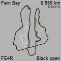 FE4R