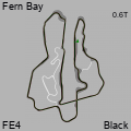 FE4